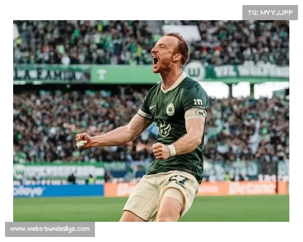 霍芬海姆3-2逆转沃尔夫斯堡,客场全取三分 霍芬海姆3-2逆转沃尔夫斯堡,客场全取三分