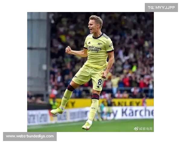 阿森纳主场草皮引入地热系统,保障冬季比赛质量 阿森纳主场草皮引入地热系统,保障冬季比赛质量