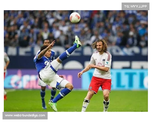 海登海姆死磕汉堡保级生死战,垫底队主场抢分逃离降级区 海登海姆死磕汉堡保级生死战,垫底队主场抢分逃离降级区